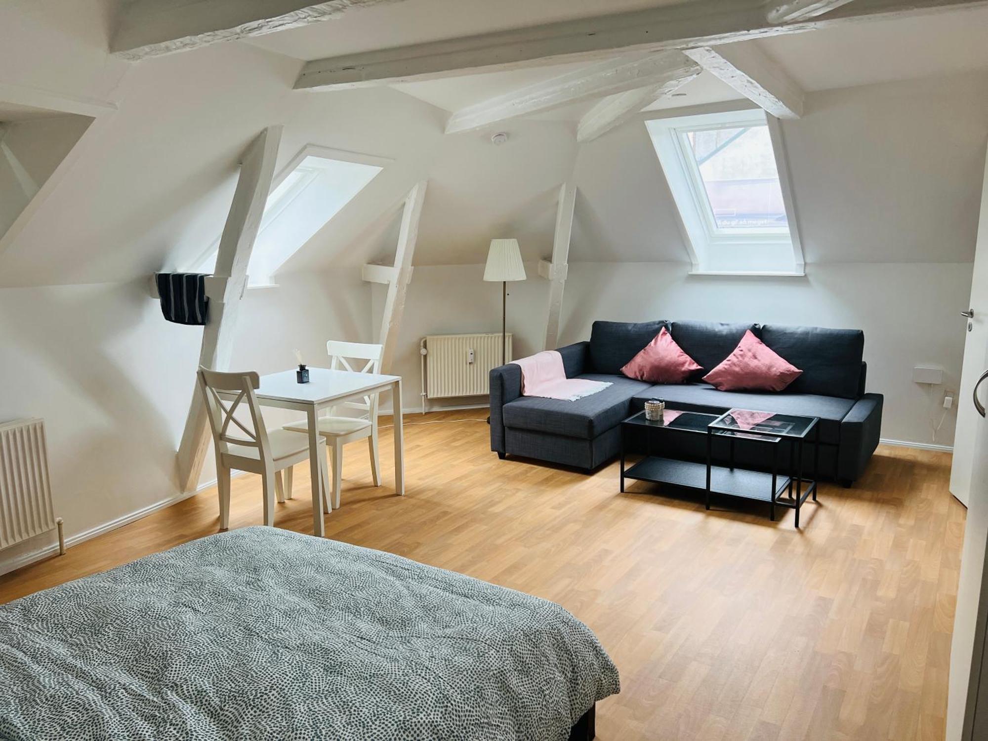 Lovely 1 Room Apartment Aarhus C מראה חיצוני תמונה
